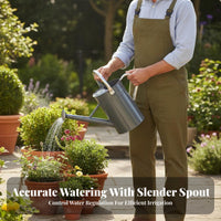 Watering Can with Sprinkler Rose Traditional Watering Can with Rose Head Galvanized Garden Tool for Gardeners