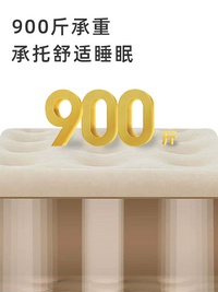 蜗牛叔叔户外帐篷充气床垫露营新款自动充气床家用打地铺气垫床