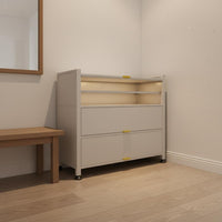 Steel Shoe Storage Cabinet Space Saving Tipping Bucket Footwear Storage Unit Adjustable Shelves for Hallway