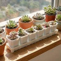 Plant Saucers, Rectangular Grooved Drip Tray and Water Tray for Garden Plants, Simple Style Plant Trays for Indoor Outdoor Use