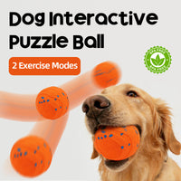 ETPU Smart Electric Dog Ball Waterproof Chew Toy for Pets