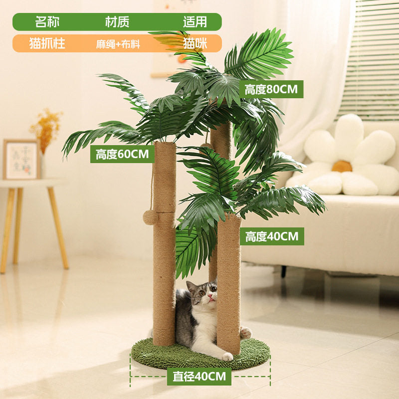 Areca Palm