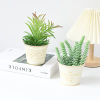 Mini Vintage Iron Bucket Flower Pot for Succulents, Desktop Decor