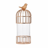 Glass Vase with Metal Frame Modern Cylinder Vase with Metal Cage Clear Vessel for Side Table