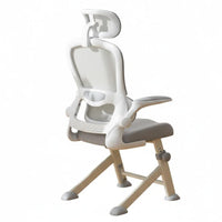 Ergonomic youngster Study Chair Lumbar assistance Home Office Furniture for Students