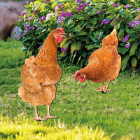 Acrylic Chicken Garden Yard Art Decorative Stake