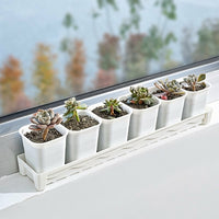 Plant Trays and Rectangular Plant Saucers, Drip Tray with grooves for Garden Plants, Indoor Outdoor Water Tray for overflow, Simple Style