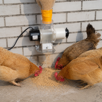 automatic poultry feeder