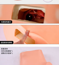 高级妇科训练模型