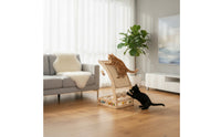 Cat Scratching Board with Rollers Curved Cat Scratcher with Play Spheres Stable Pet Activity Center for Small Apartments