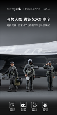 Xinghe Moban Asian Fighter Pilot 1/48 3D Printed Model