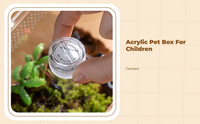 Ventilated acrylic terrarium for breeding