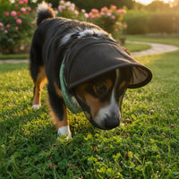 Dog Anti-Eating Mask Safeguarding Mesh Muzzle Humane Design for Walks