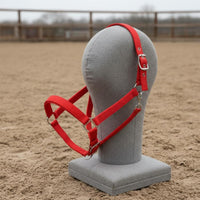 Adjustable Horse Halter Strapping Horse Halter Wear-Resistant Equestrian Supplies for Stable, Paddock, Training