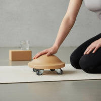 Turtleback Glider Effortless Gliding Spine Stretching Disc Silent Wheels