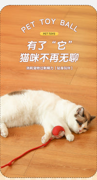 Electric Cat Toy Ball with Obstacle Avoidance, Interactive Pet Toy