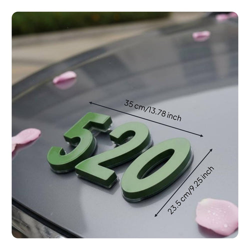 Bridal Vehicle Flower Holder Floral Foam Suction Cup Base for Florists, Weddings