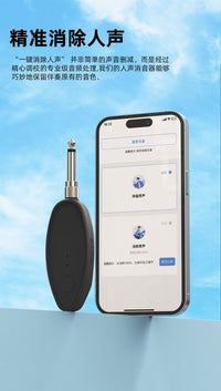 AI Vocal Remover for Karaoke with Bluetooth and Pitch Shift