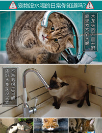 喵仙儿宠物饮水器橡木狗狗喝水器宠物挂式猫狗水壶宠物用品