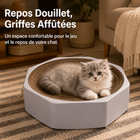 Octagonal Cat Scratcher, Interactive Plastic Cat Toy, Cat Scratcher for Large Cats, Replaceable Corrugated Cardboard