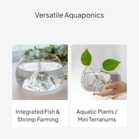 Mini Iceberg Glass Fish Bowl Desktop Enclosure