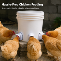 4 Port Automatic Chicken Feeders, Rainproof Duck Feeder for Backyard Chickens UK Material Pigeon Feeder Kit