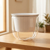 Plant Pots for Modern Home Decor, Self-Watering Hanging Planter for Indoor Plants, Clear Planter with Visible Water Gauge, Balcony Planter Set