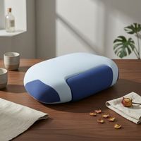 Neck Pillow with Replacement Pillow Pressure-Relieving for Sleeping