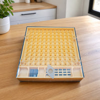 Queen Rearing Box Transparent Queen Rearing Container Ventilated Equipment for Beekeepers, Beehive, Apiary