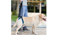 Hind Leg Support Harness Stair Assistance Rear Leg Support Harness for Stairs
