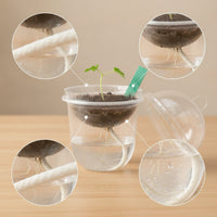 30 Pieces Self-Watering Seedling Cup with Dome Transparent for Teachers