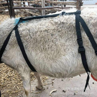 Sheep Chest Support Harness to Prevent Sagging