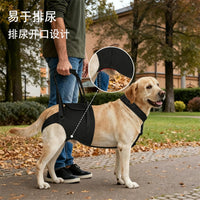 Pet Rear Leg Support Aid for Elderly Paralyzed Dogs