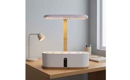 Countertop Hydroponic Planter with LED Grow Light Compact Hydroponic Planter Slimline Indoor Garden with Grow Light Transparent for Apartment Dwellers, Gardeners, Kitchen, Office, Windowsill