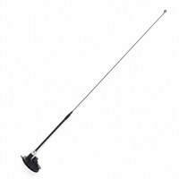 cat teaser wands