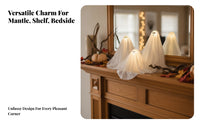 3 Pieces LED Lighted Spirit Ornaments