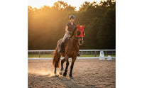 Breathable Horse Fly Mask Protection Reflective Horse Face Cover