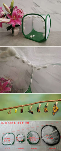 Foldable Butterfly Cage with Mesh Net for Insect Breeding