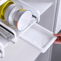 pull-out dish rack