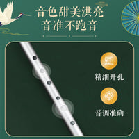 NAOMI Irish Whistle in C and D Keys, Six-Hole High Whistle for Beginners and Children