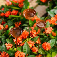 Rusted Rainwater Collector Easy to Install Ground Stake Rain Catcher