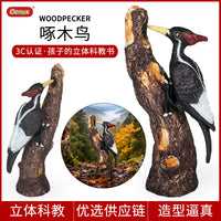 Solid Plastic Animal Model Toy - Parrot Bird Figures for Kids