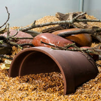 Land Turtle Ceramic Hiding Spot, Natural Breathing Reptile Shelter, for Terrarium, Brown