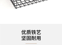 Nordic Style Iron Wire Fruit Basket for Living Room, Snack Storage, and Organizer