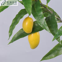 仿真绿植 大枝芒果 带果植物北欧家居工程装饰婚庆酒店插花假果实