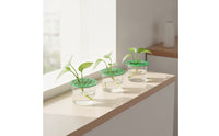 3 Pieces Openwork Propagation Tray Lid Round Propagation Lid Plastic Reusable for Gardeners, Growers, Hydroponics, Windowsill