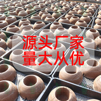 轻壤鹿角蕨上板球平替水苔球蝴蝶兰碳绵基质植物墙板植球免搓水苔