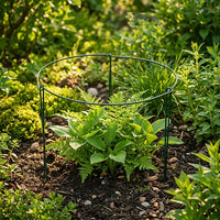 Plant Stand and Supports for Outdoor Plants, Iron Tomato Cage for Garden, Green Metal Plant Supports for Indoor Plants, Monstera Plant Support