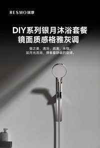 瑞摩银月花洒无顶喷多功能花洒套装含喷头支架全铜混水阀超柔软管