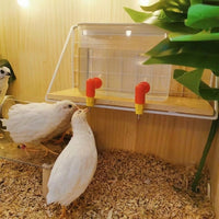 Automatic Drinker for Chickens with Steel Ball Valve, Simple-join Water Dispenser, Quail Drinker for Chickens and Ducks, Farm Fowl Supplies